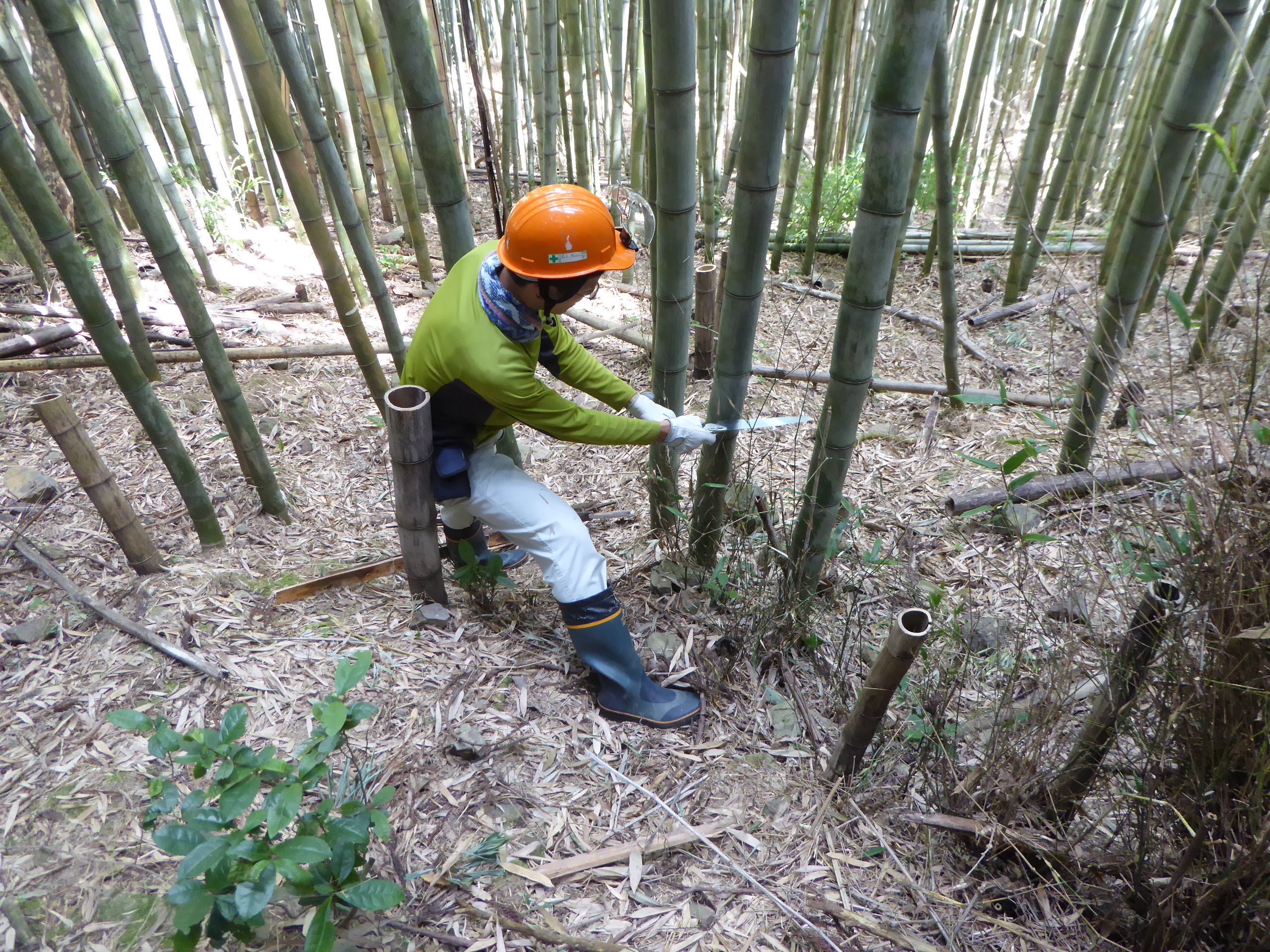 家具屋　竹林整備活動