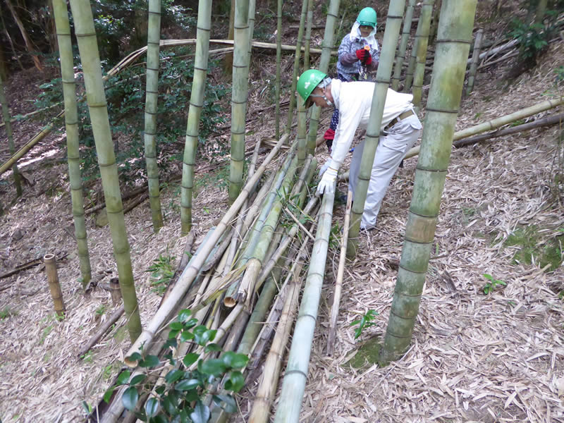 整理整頓　壁面収納