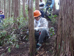 女性社員も間伐作業　山林活動
