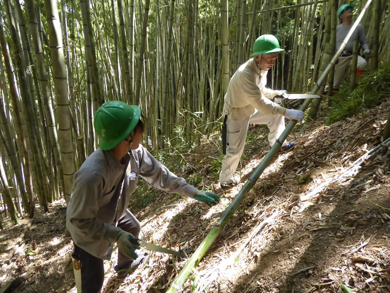 竹林整備　造作家具