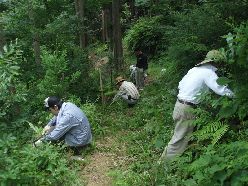造作家具　全員で下草刈り