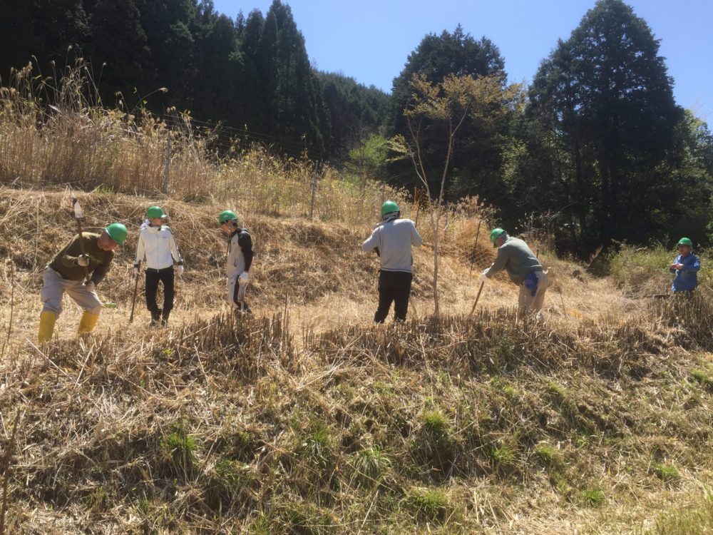 皆で地ならし