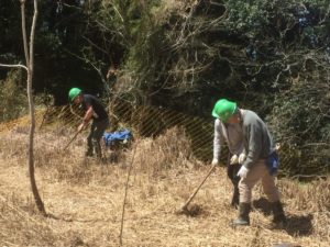 植樹活動