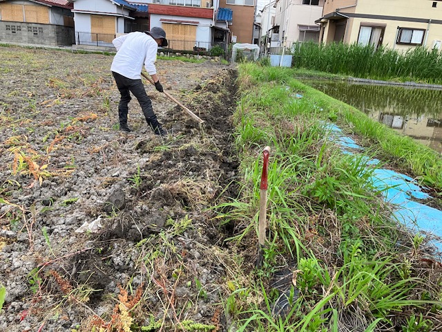畔切作業 家具屋