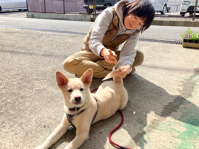 社会・環境への取り組み 保護犬