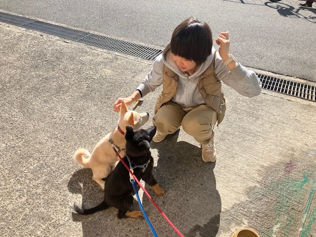 社会・環境への取り組み 保護犬
