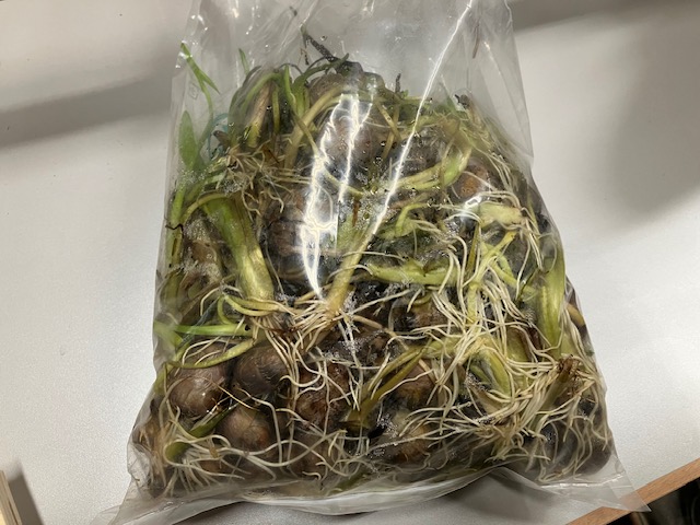 クワイ 大阪のオーダー家具屋
