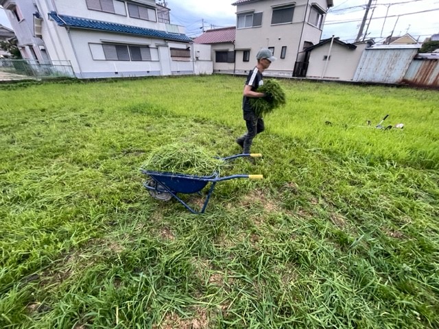 家具屋　新事業　農業　草抜き