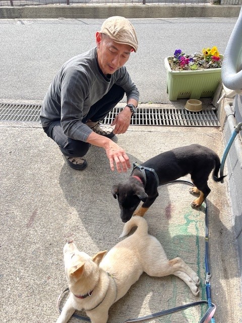 オーダー家具屋 元保護犬